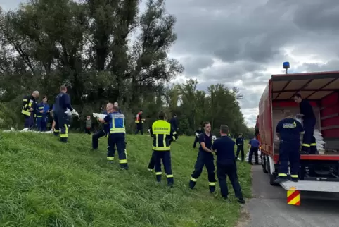 Bei der Übung im Einsatz: ehrenamtliche Hilfskräfte von Feuerwehr und THW beim Sandsackverbauen am Deich bei Altrip. 
