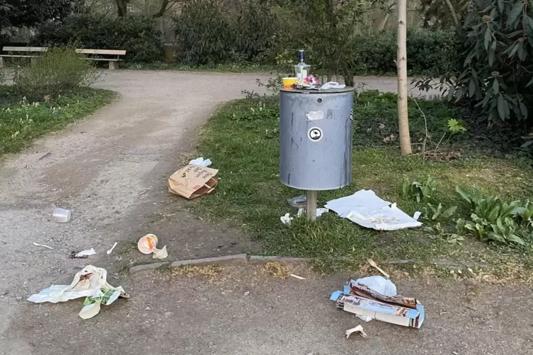Wilder Müll: Immer wieder müssen Freiwillige Naturbereiche sauber machen.