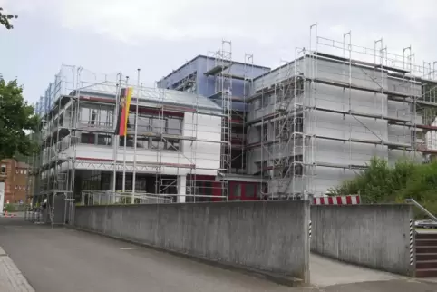 Da stand das Gerüst noch. Weil sich Siebenschliefer in der Fassade eingenistet hatten, musste das Verwaltungsgebäude saniert wer