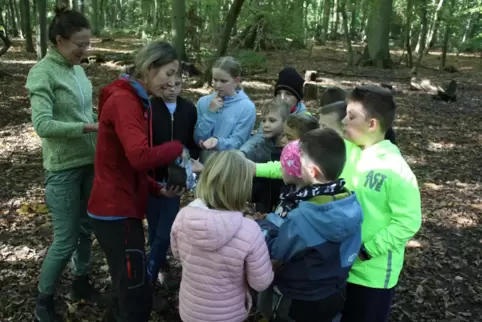 Wie viele Nüsse sind gefunden worden? Die Kinder lernen von Iris Buchenau auch, wie wichtig Vorräte für die Waldtiere sind. 