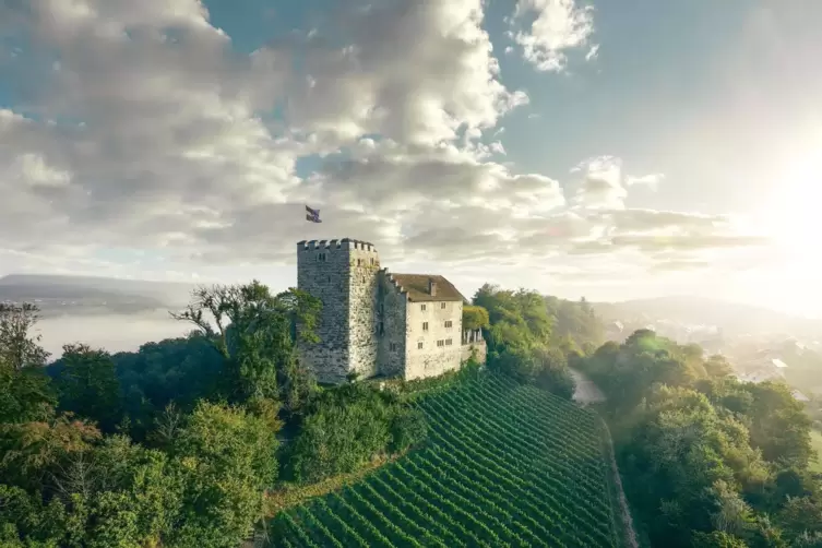 Wo alles begann: die Habsburg bei Brugg im heutigen Schweizer Kanton Aargau, Stammsitz des Adelsgeschlechts.