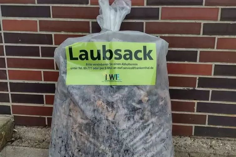 Sorgt f&uuml;r viel Wirbel in Frankenthal: der geb&uuml;hrenpflichtige Plastiksack zur Entsorgung von Laub. 