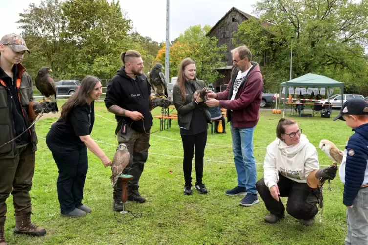 Vom Frettchen bis zur Blaubussard: Die Falknerei Birds of Prey hat ihre Tiere gezeigt. Tim (rechts) ist von der Schleiereule, di