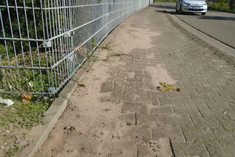 Zum Problem f&uuml;r die Infrastruktur kann die Baut&auml;tigkeit der Invasoren werden. Superkolonien von Tapinoma magnum unterh&ouml;hlen Gehw
