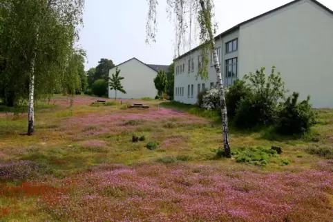 Das Gelände der ehemaligen Kurpfalzkaserne: Wird es wieder für die Landesverteidigung gebraucht?