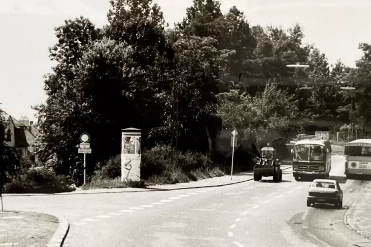 Der Pirmasenser Straßenstrich, die Rodalber Straße von der Brücke bis über den Wasserturm hinaus, erregte Ende der 60er, Anfang 