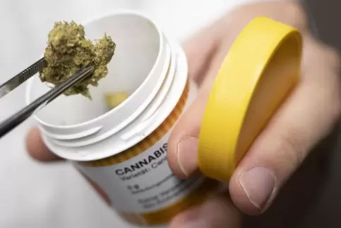 Schon jetzt legal: Cannabisblüten zur medizinischen Behandlung.