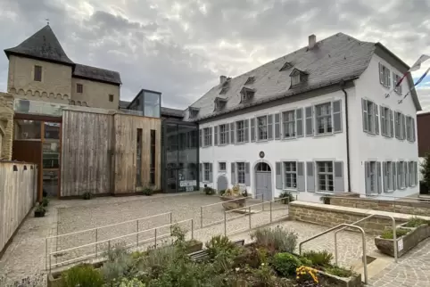 Die Gründungsveranstaltung findet am 9. November im Veldenzschloss statt.