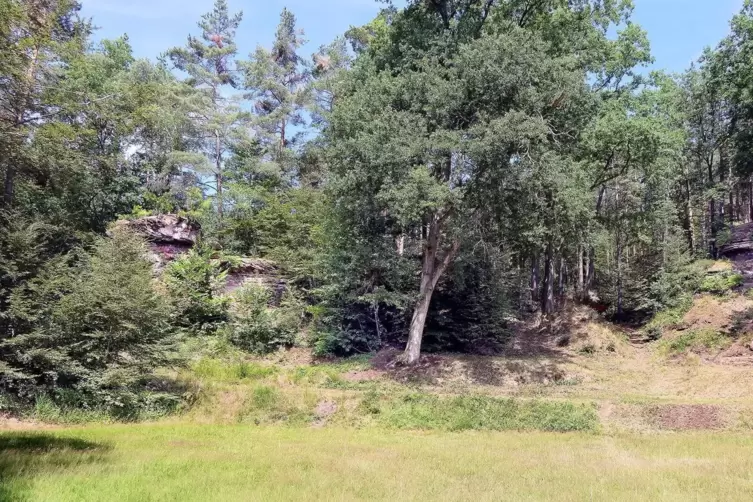 Natur pur pr&auml;gt heute das Gel&auml;nde. Auf der Naturb&uuml;hne am Falkenstein wird im kommenden Jahr wieder gespielt. 