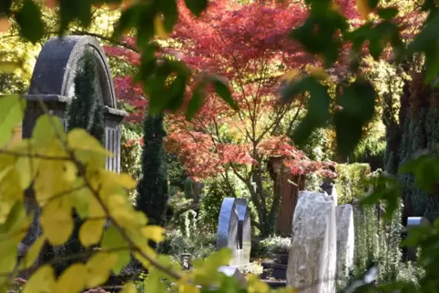 Auf dem Hauptfriedhof gibt es viel zu entdecken. 