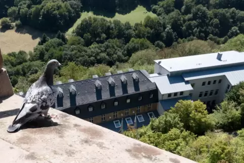 Ein Blick von oben auf die Jugendherberge auf Burg Lichtenberg. 
