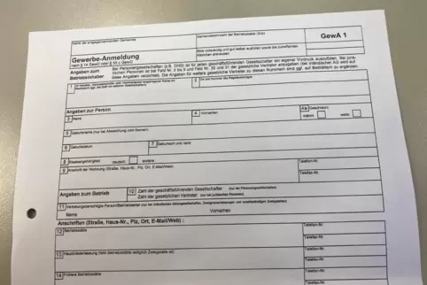 Dieses Formular muss jeder Gründer mit Ausnahme von Freiberuflern ausfüllen. Dadurch hat der Staat einen relativ guten Überblick