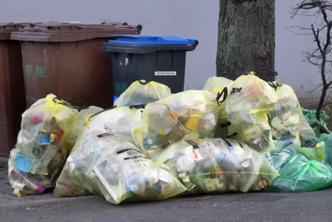 Müll am Speyerer Straßenrand: Nicht mehr für alle Teile davon sind die Stadtwerke zuständig.