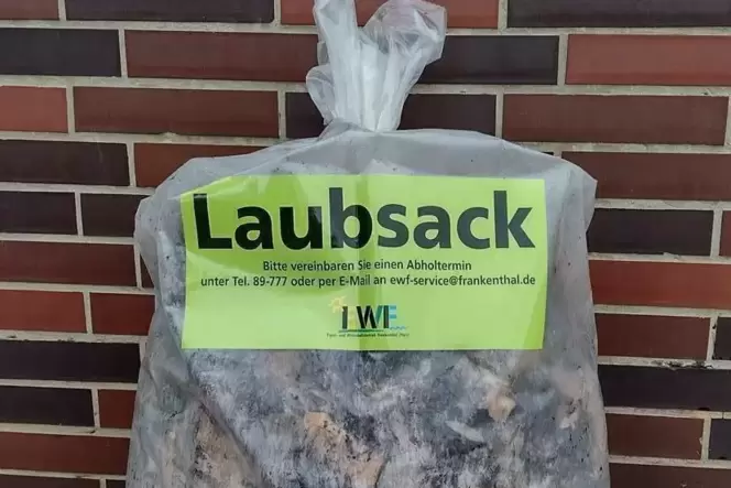 Beim EWF und im Rathaus beim Bürgerservice der Stadt erhältlich: der transparente Laubsack mit dem eigens dafür entworfenen Aufk Beim EWF und im Rathaus beim Bürgerservice der Stadt erhältlich: der transparente Laubsack mit dem eigens dafür entworfenen Aufk