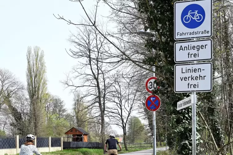 Eine Fahrradstraße in Haßloch. In einigen anderen Städten in der Pfalz gibt es so etwas auch schon. Welche Maßnahmen wurden bish