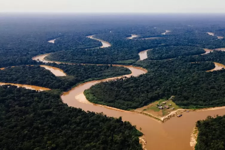 Grüne Hölle: Amazonien ist wunderschön, aber wegen seiner Bodenschätze gefährdet.