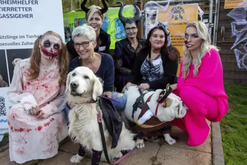 Nicht nur die Zweibeiner vom Team des Tierheims, sondern auch einige Vierbeiner – wie Retriever Lana und Bulldogge Cooper – ware