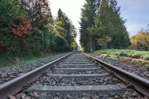 Seit Montagmittag, 13 Uhr, fahren zwischen Kaiserslautern und Lauterecken keine Züge mehr. 