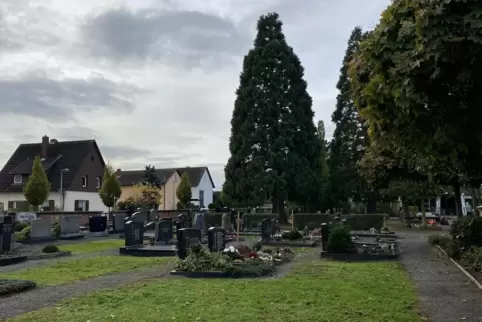 Soll zum Memoriamgarten werden: das Gräberfeld links des Hauptwegs nahe der Mammutbäume auf dem Otterstadter Friedhof. 