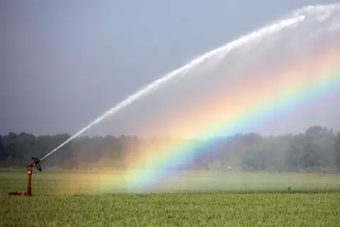 Viele Felder müssen im Sommer bewässert werden. Darf dann ein Bauer mehr Grundwasser entnehmen als ein anderer? 