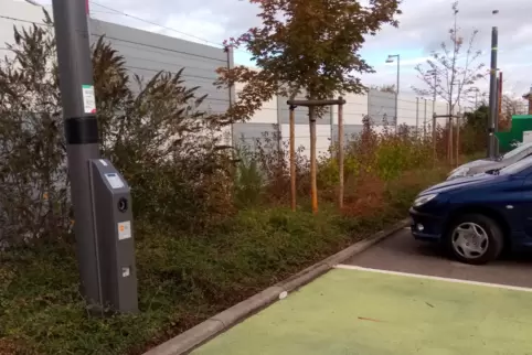 Neben der Ladesäule hatten die Laubners ihr Auto während des Urlaubs geparkt. 