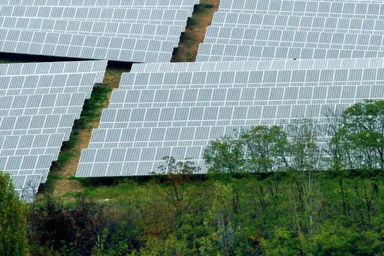 Auf dem Müllberg in Speyer schon Realität: Energiegewinnung mit Photovoltaik. 