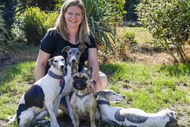 Jacqueline Weber liebt ihr Hundequartett, das aus drei Whippets und Bulldogge Chloé besteht. Jacqueline Weber liebt ihr Hundequartett, das aus drei Whippets und Bulldogge Chloé besteht.