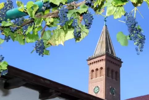 Katholische Kirche St. Martin in Waldsee: Zu der von hier aus geleiteten Pfarrei gehören fünf Orte.