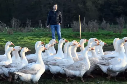 Andreas Backhaus und seine Gänse.