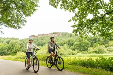 Natur pur: Wie auch hier bei Busenberg sieht der Pamina-Radweg so gut wie überall entlang der Strecke aus.