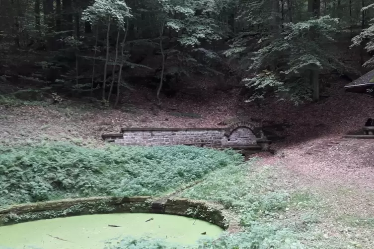 Hirschbrunnen im Waldpark Karlsberg. 