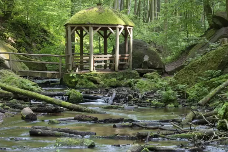 Karlstalschlucht bei Trippstadt. 