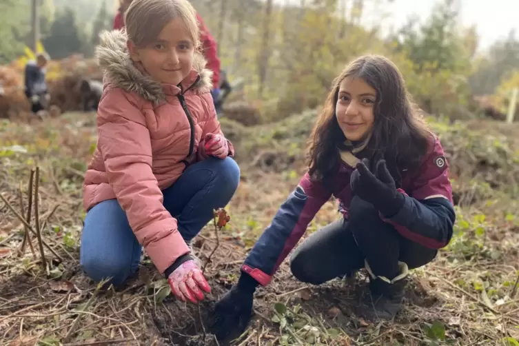 Mirela (links) und Ikra pflanzen gemeinsam eine junge Elsbeere. 
