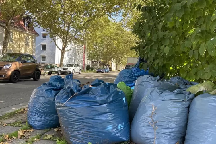 Nicht erlaubt: Müllsäcke mit Grünabfall am Straßenrand, wie hier Mitte Oktober in der Heßheimer Straße. 