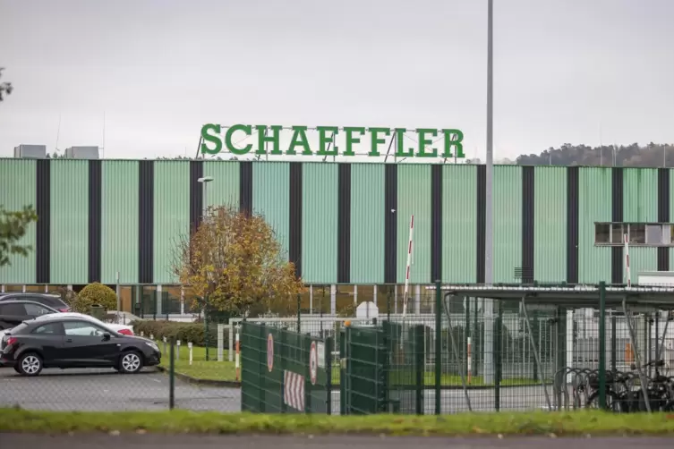 100 Leute verlieren am Schaeffler-Standort in Homburg bald ihren Job. Die Linke möchte das verhindern. 