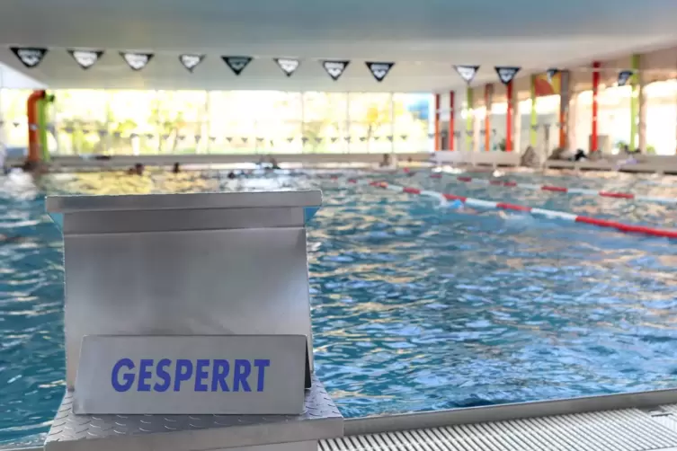 Die Schwimmer haben kein Problem mit der Wassertemperatur. 