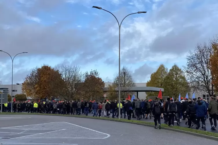 Die Stra&szlig;en hat die Polizei gesperrt, deshalb kommt es in W&ouml;rth zu kurzzeitigen Verkehrsbehinderungen.