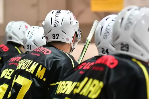 ehc-maddogs7