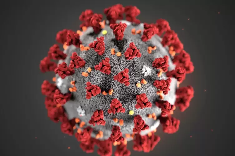 Ein Coronavirus-Modell.