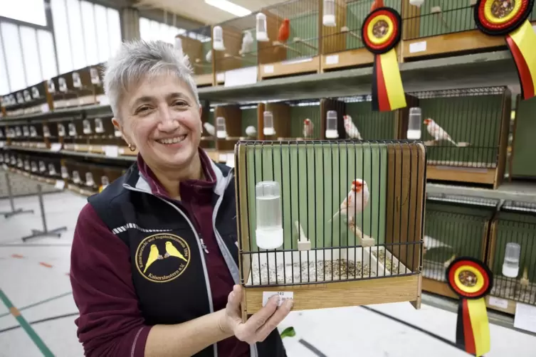 Angelika Herbel-Zott mit einem Mosaik-Kanarienvogel: Bewertet wird bei solchen Tieren, wo die Farbe ist und wo sie nicht sein so