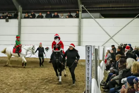 Nicht nur die Menschen haben sich herausgeputzt: Bei den Reitvorführungen – hier am Führzügel – präsentieren sich auch die Tiere