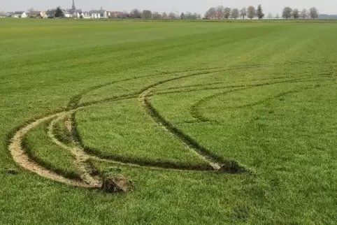 Die Reifenspuren im Rasen. 