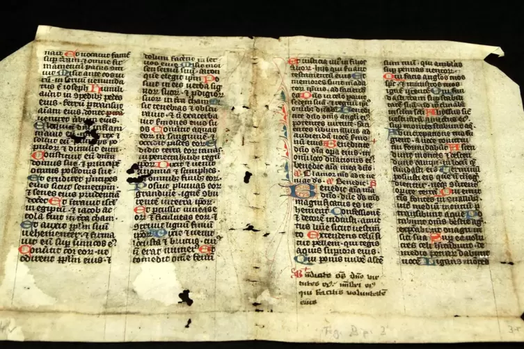 Um solche historischen Dokumente geht es: Fragment einer Missalehandschrift aus dem 13. Jahrhundert, gesammelt vom Pfalzgrafen K