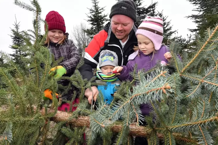 Familie Simon aus Kirrweiler bei der Weihnachtsbaum-Aktion 2018, der letzten vor der Zwangspause. 