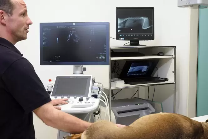 Arnold Bonitz in seiner Tierarztpraxis in Hornbach Arnold Bonitz in seiner Tierarztpraxis in Hornbach