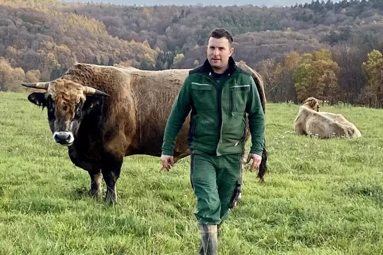 Henrik Heeger hält seine Rinder die meiste Zeit des Jahres über auf der Weide. 