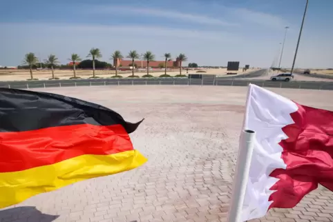 WM 2022: Wer schaut rein, wer lässt es sein? 