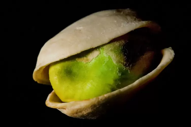 Pistazie im Eis