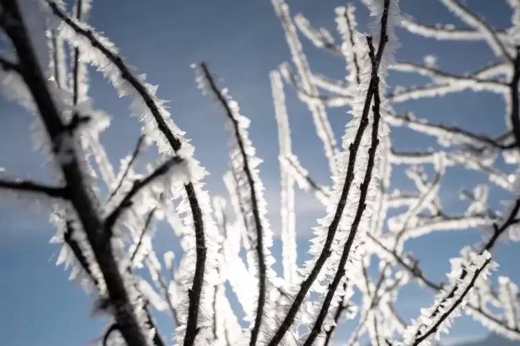 Schneekristalle gibt es in vielen Variationen.