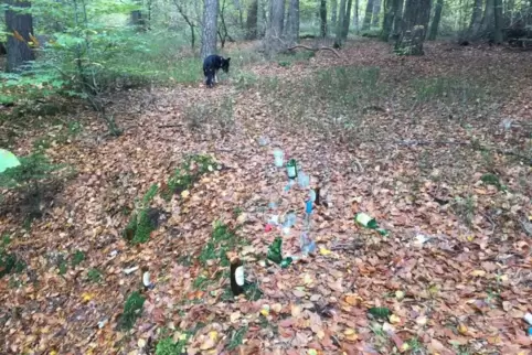 Nicht bloß weggeworfen, sondern gezielt aufgestellt: kaputte Flaschen im Wald auf dem Lämmchesberg . 